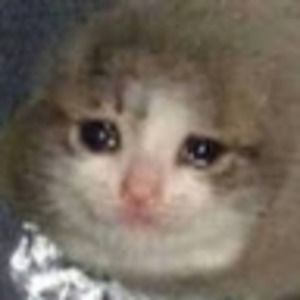 Meet your Posher, Cat